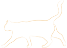 Cat silhouette