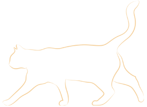 Cat silhouette